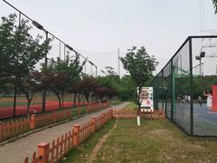 -九里河湿地公园