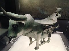 -云南省博物馆