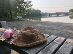 -同里国家湿地公园