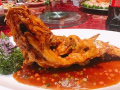 -海岛渔村大酒店(云霄路店)