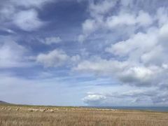 -青海湖国家重点风景名胜区