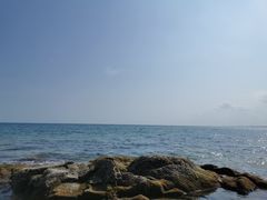 -海南霸王岭国家森林公园