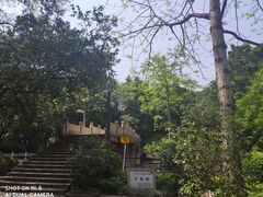 -晓港公园