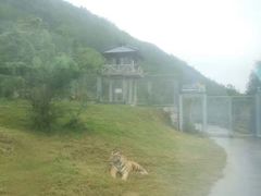 -西安秦岭野生动物园