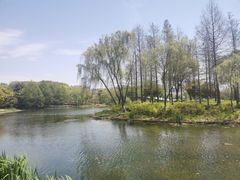-尚贤河湿地