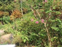 -青龙山公园
