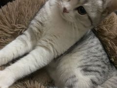 -武汉马哥孛罗酒店