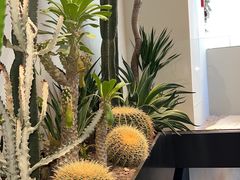 -J Create城市露营咖啡·简餐·宠物(上海动物园店)