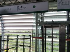 -低涌(地铁站)