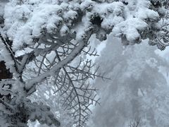 -瓦屋山景区