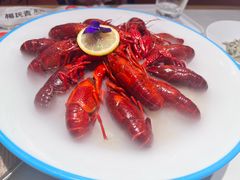 -杨氏青龙虾·羊蝎子(托乐嘉店)