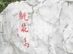 -金鸡湖桃花岛