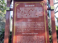 -西双版纳傣族园