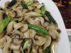 小炒蘑菇-陈胖子特色菜.鲜货现炒(融景城店)