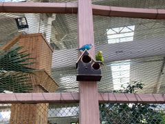 -南宫五洲植物乐园