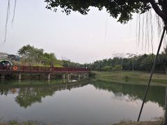 -福田红树林生态公园