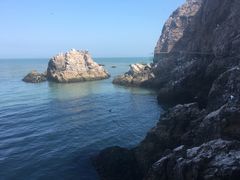 -海驴岛(荣成市)