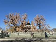 -北京石刻艺术博物馆(五塔寺)