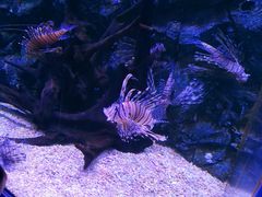 -皇家极地海洋世界-售票处