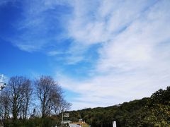 -贵州百里杜鹃风景名胜区