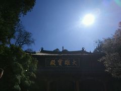 -盘龙寺