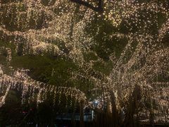 -布里斯班南岸公园