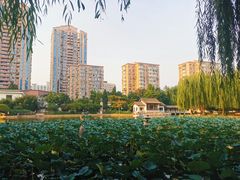 -团结湖公园