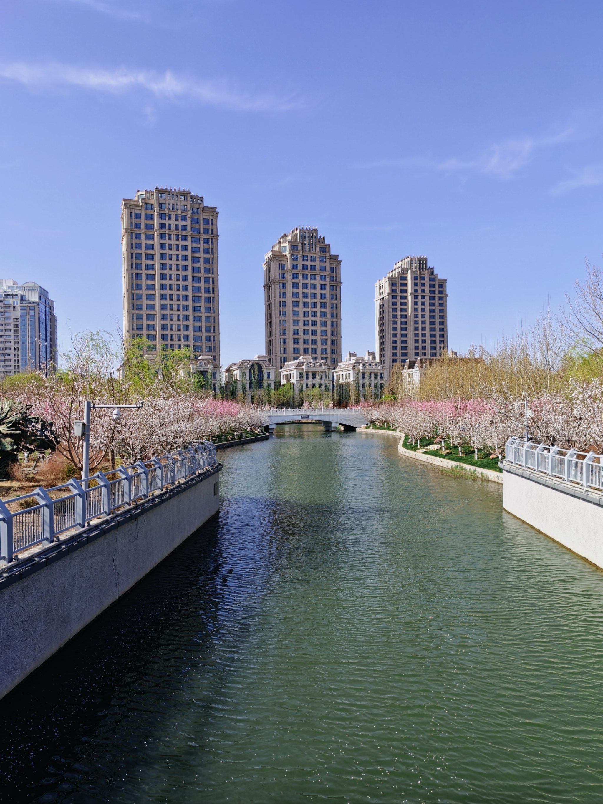 春风吹呀吹,风筝飞呀飞