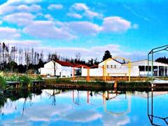 -前小桔亲子创意农场·草莓采摘·露营烧烤