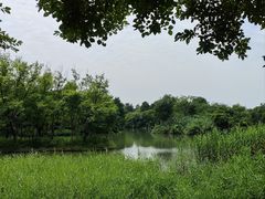 -西溪国家湿地公园