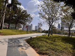 -深圳市宝安体育中心体育场