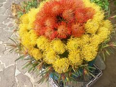 -南通洲际绿博园