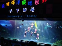 -泉城欧乐堡海洋极地世界
