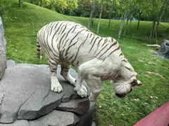 -北京野生动物园