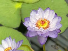 -国家植物园南园