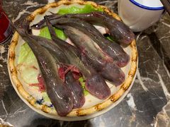 -蜀辣居鲜货老火锅(红牌楼店)