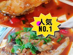 -煲来饱去冷水鱼