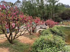 -南国桃园旅游度假区