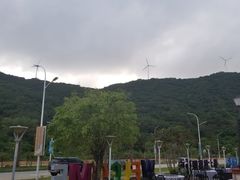 -钱大妈海鲜饭店(保利林语店)