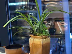 -慈云斋·24节气素食