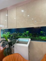 -臻悦医疗美容整形门诊部