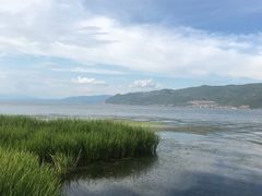 -大理洱海