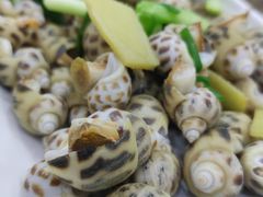 白灼花螺-贞姨美食·老字号海鲜大排档