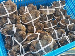 -品鲜村农家菜·阳澄湖大闸蟹(总店)