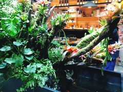 -森味薪火烧•烧鸟居酒屋•日本料理(望京店)