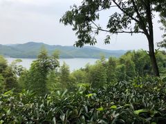 -天目湖涵田半山温泉
