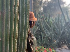 -BE NORMAL CAFE(霞溪路店)