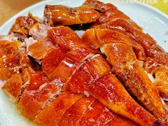 -长润·濑尿烧鹅