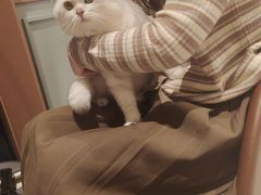 -星巴克(宁波老外滩店)