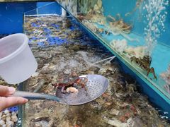 -港畔赶海蒸汽海鲜烧烤自助(仙螺岛店)